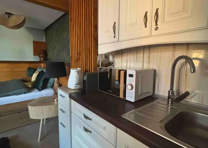 Vr Boutique Relax Se Saunou Lejlighed